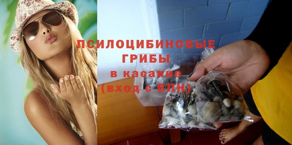 спиды Алзамай