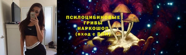 крисы Анжеро-Судженск