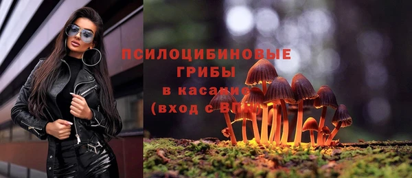 спиды Алзамай